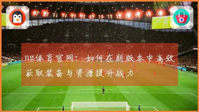 ng体育官网：如何在新版本中高效获取装备与资源提升战力